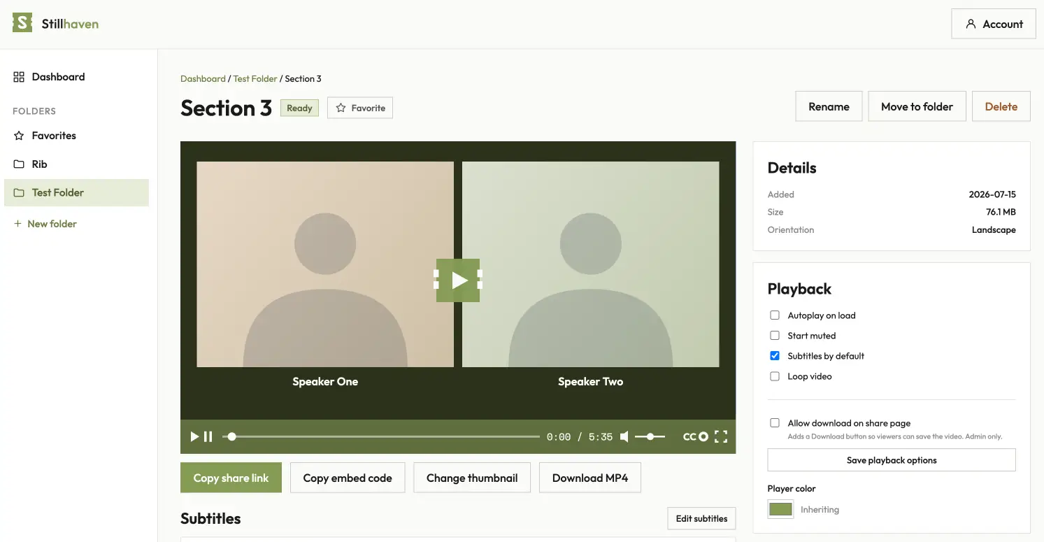The video view — player, details, and playback options